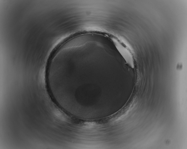 X0000102490391200808221735