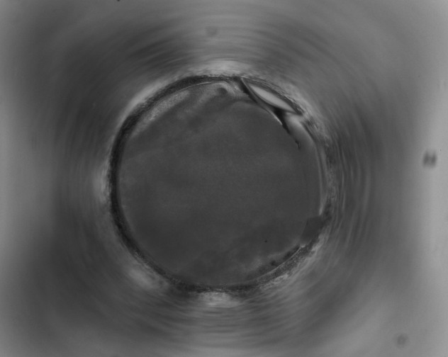 X0000102490392200808221735