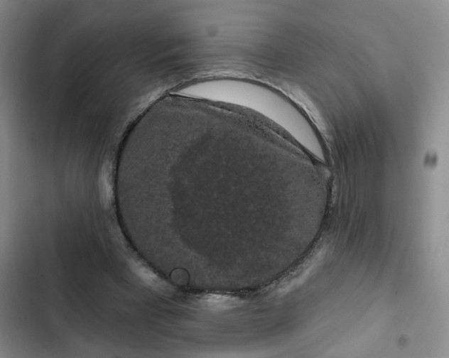 X0000102490393200808221735