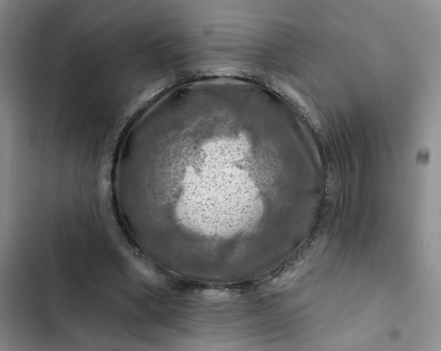 X0000102490394200808221735