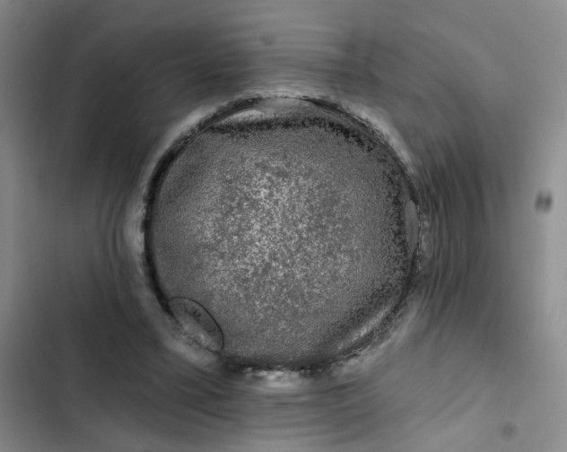 X0000102490395200808221735