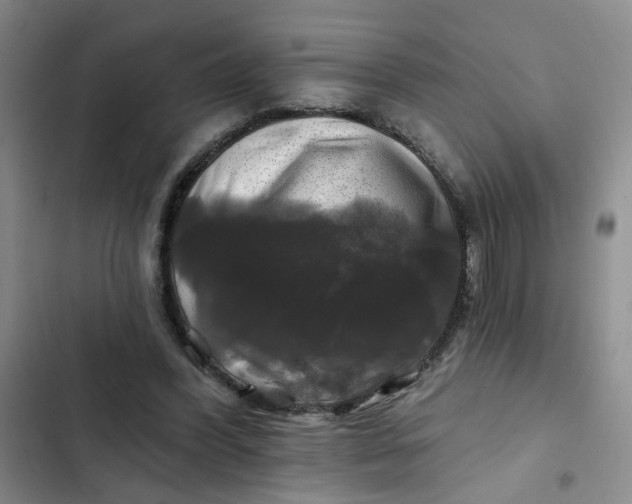 X0000102490396200808221735