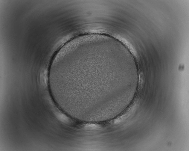 X0000102490397200808221735