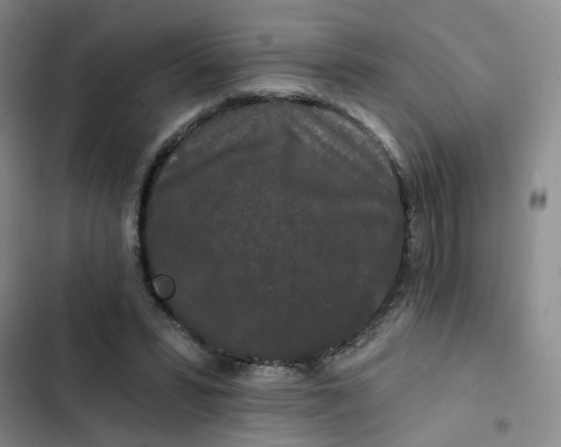 X0000102490399200808221735