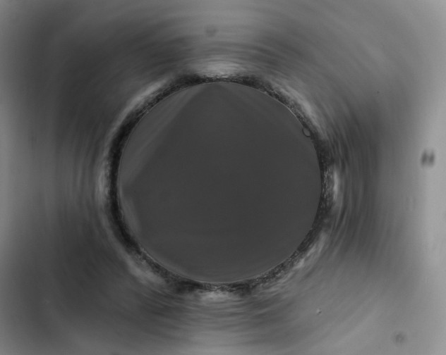 X0000102490400200808221735