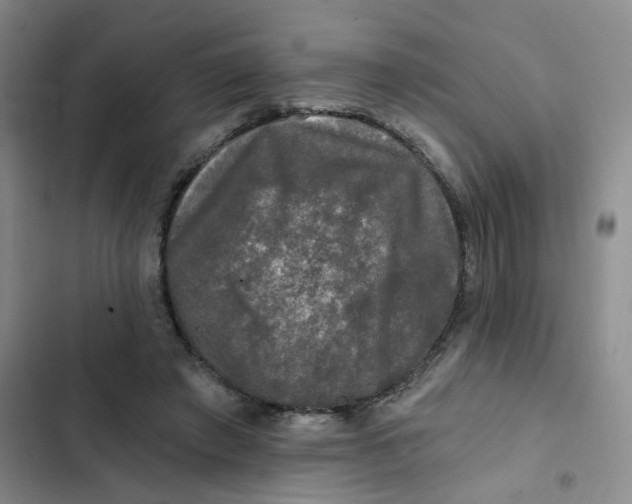 X0000102490401200808221735