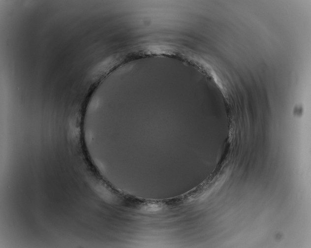 X0000102490402200808221735