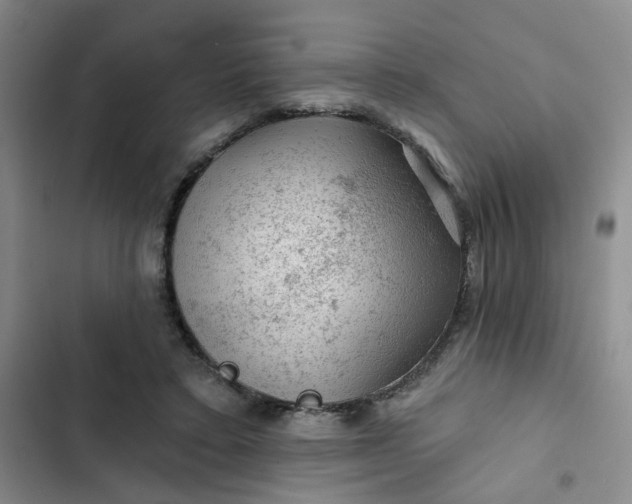 X0000102490403200808221735