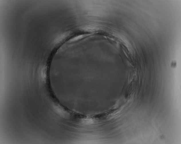 X0000102490404200808221735