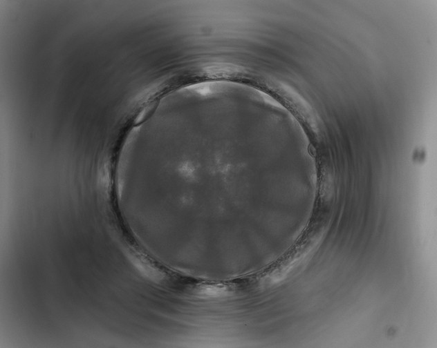 X0000102490405200808221735