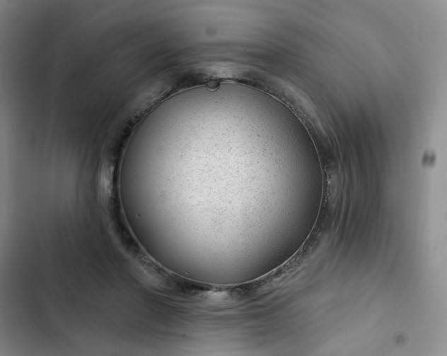 X0000102490406200808221735