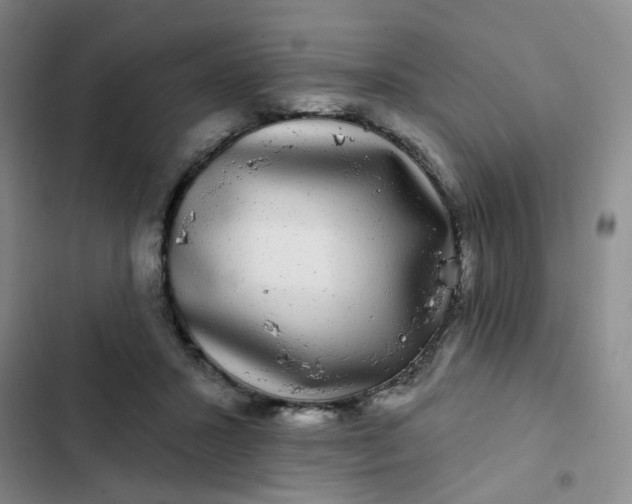 X0000102490407200808221735