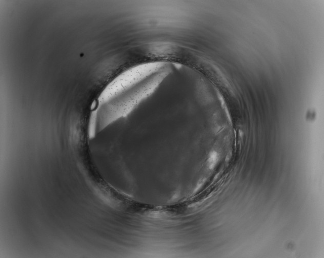 X0000102490408200808221735