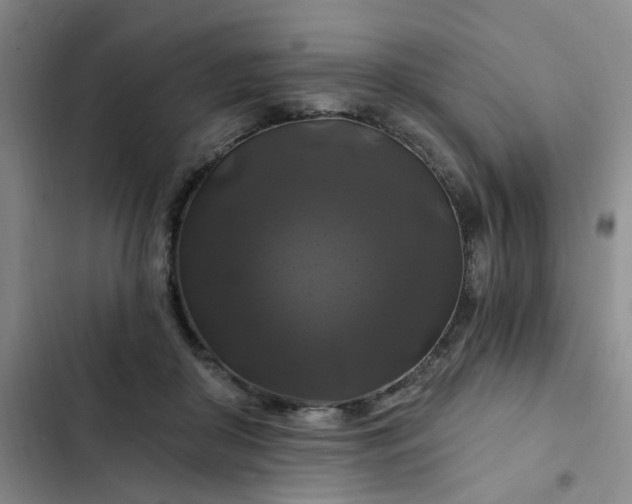 X0000102490410200808221735