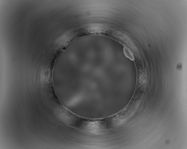 X0000102490411200808221735