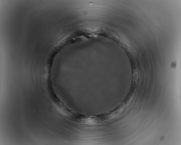 X0000102490412200808221735