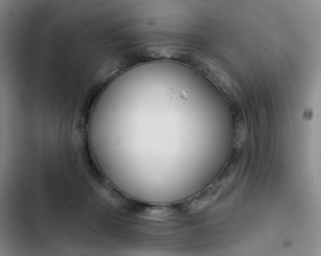 X0000102490414200808221735