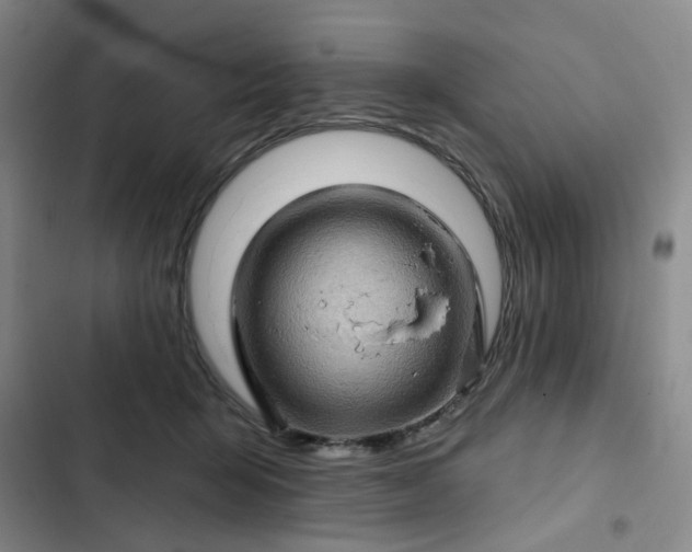 X0000102490415200808221735