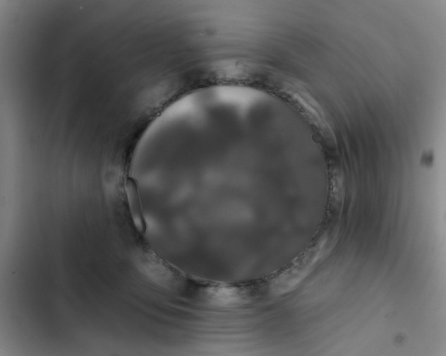 X0000102490419200808221735