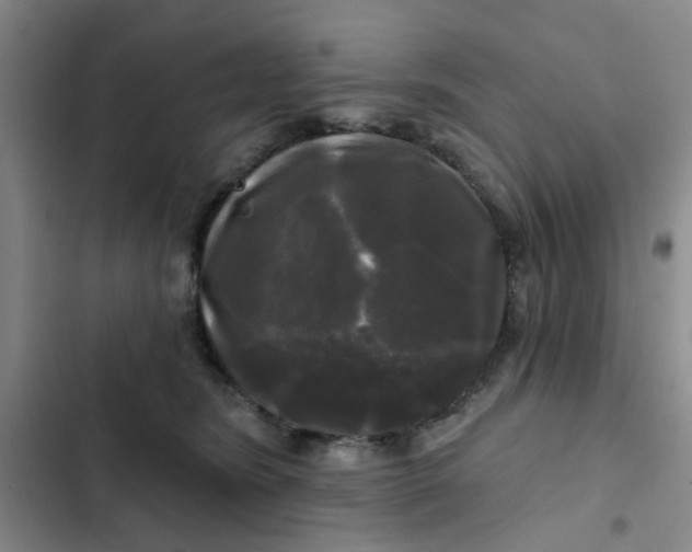 X0000102490420200808221735