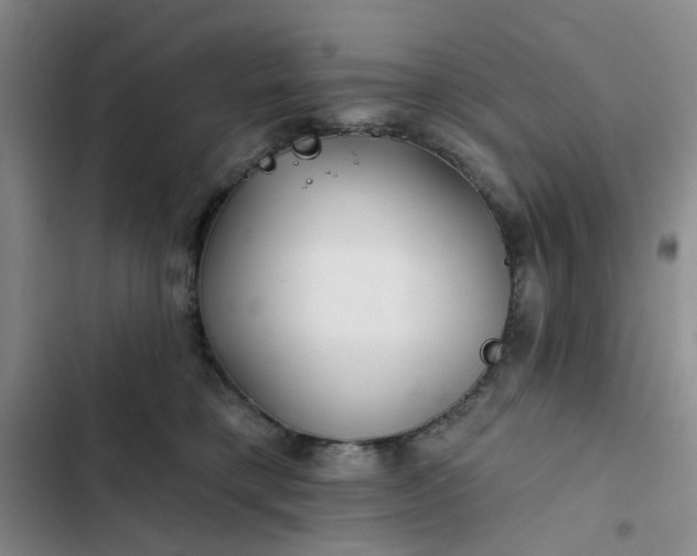 X0000102490421200808221735