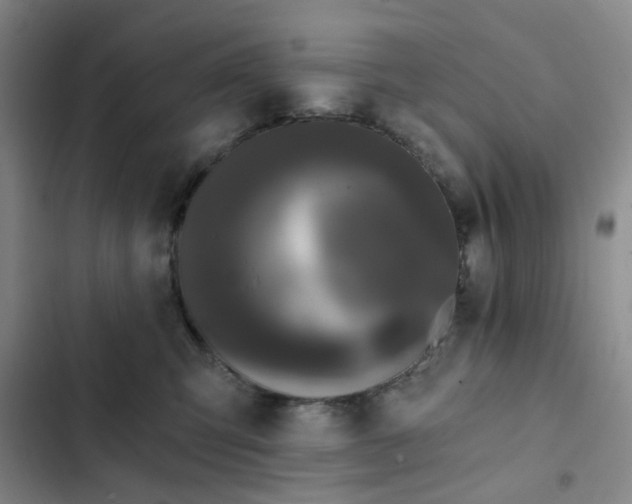 X0000102490423200808221735