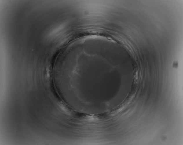 X0000102490424200808221735