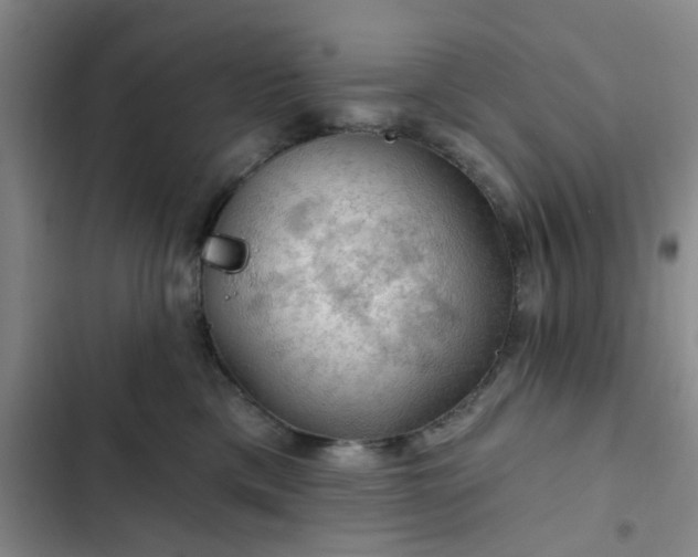 X0000102490425200808221735