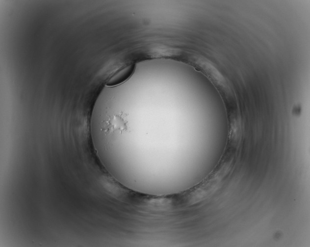 X0000102490426200808221735