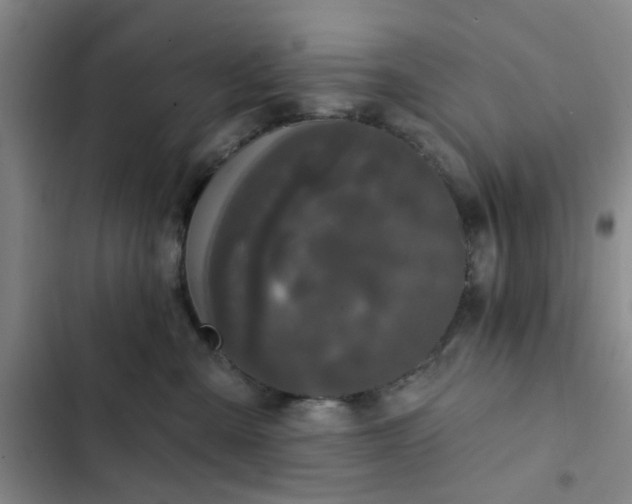 X0000102490427200808221735