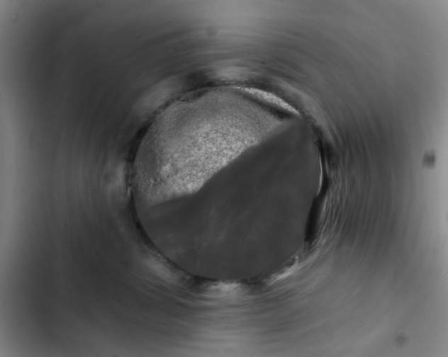 X0000102490428200808221735