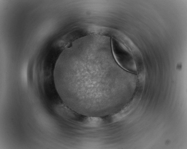 X0000102490429200808221735