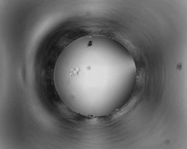 X0000102490430200808221735