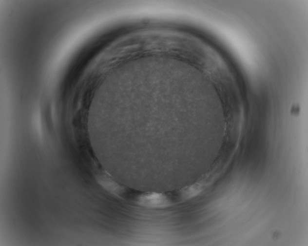 X0000102490431200808221735