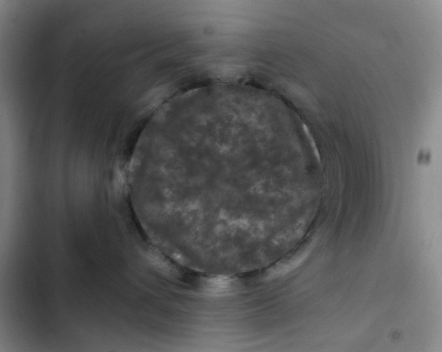 X0000102490432200808221735