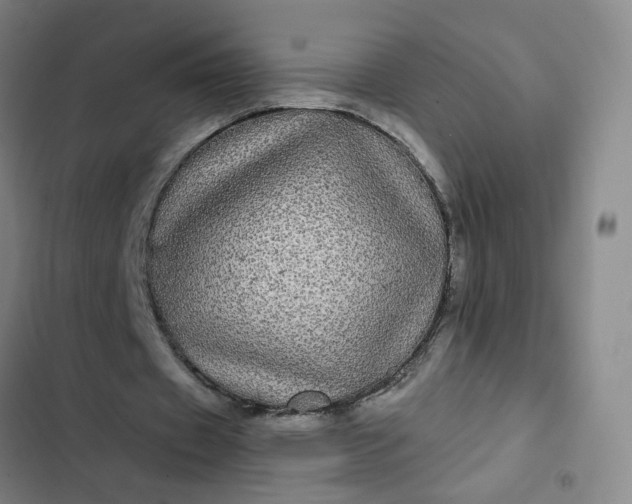 X0000102490433200808221734