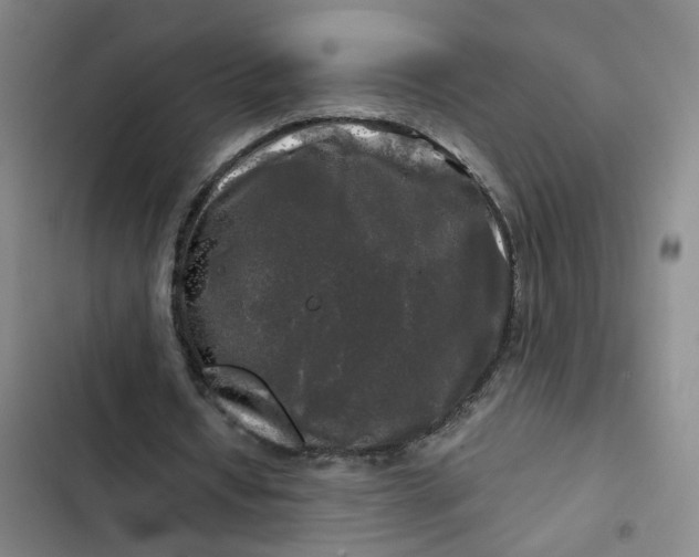 X0000102490434200808221734