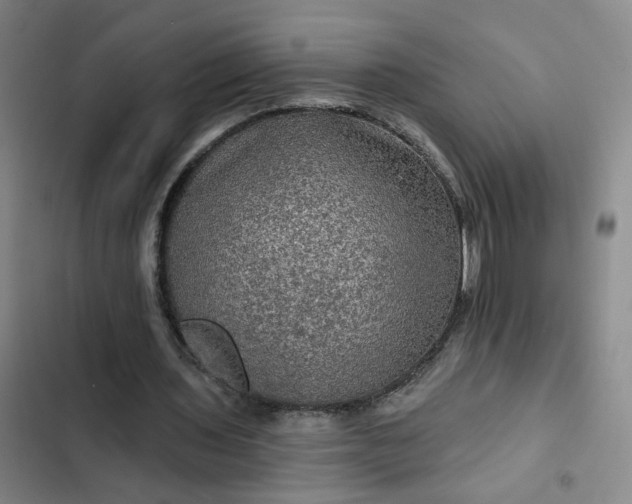 X0000102490435200808221734