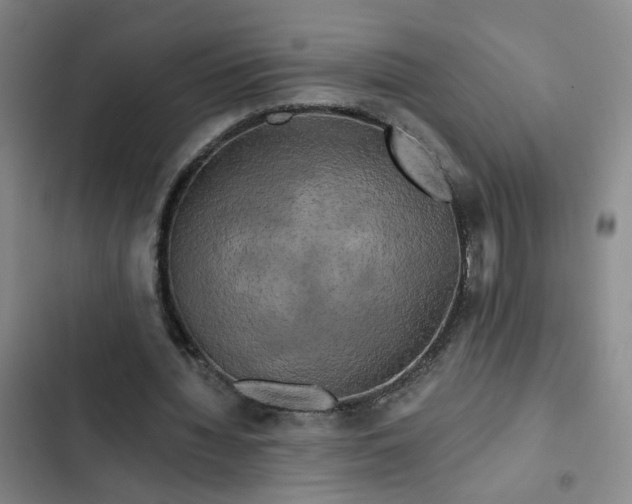 X0000102490436200808221734