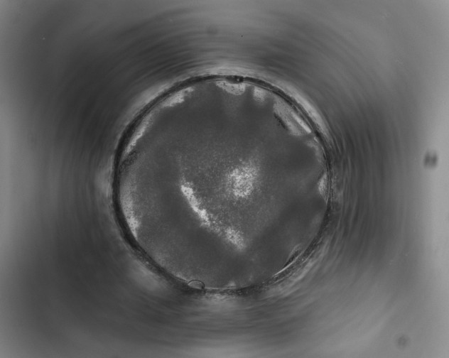 X0000102490437200808221734