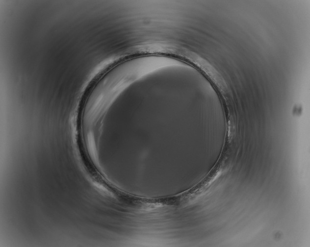 X0000102490438200808221734