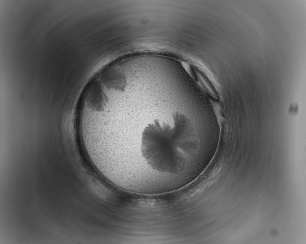 X0000102490439200808221734