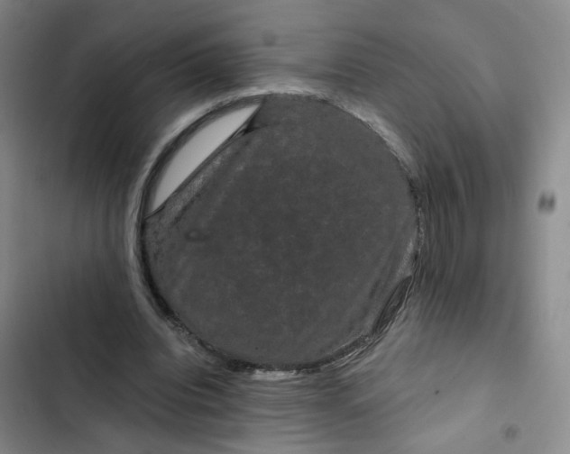 X0000102490440200808221734