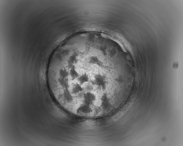 X0000102490441200808221734