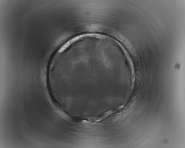 X0000102490442200808221734