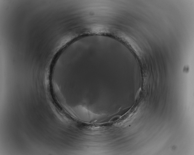 X0000102490443200808221734