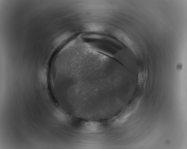 X0000102490444200808221734