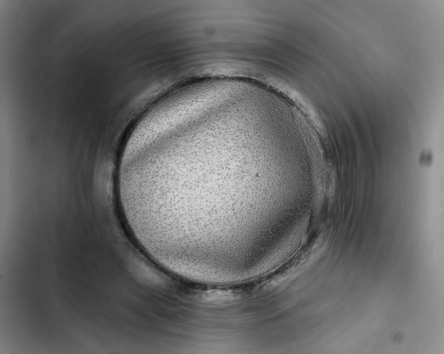 X0000102490445200808221734