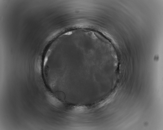 X0000102490446200808221734