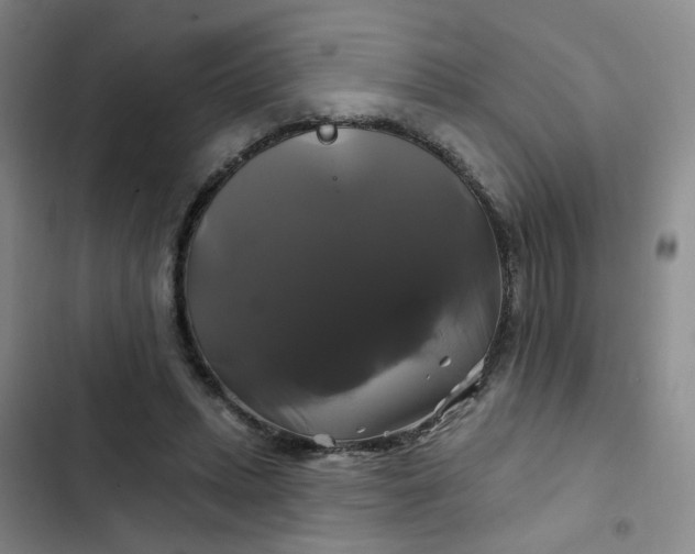 X0000102490447200808221734